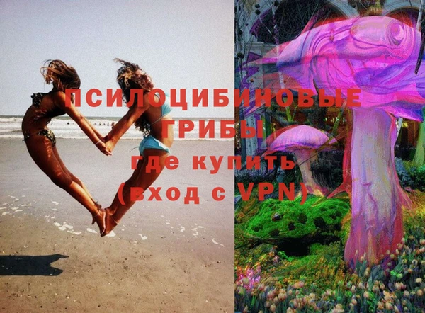 хмурый Арсеньев