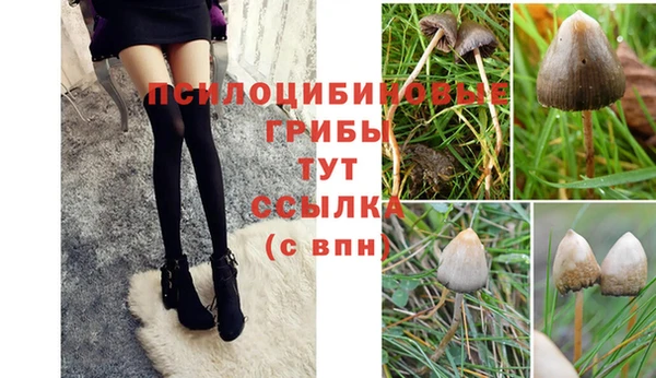 хмурый Арсеньев