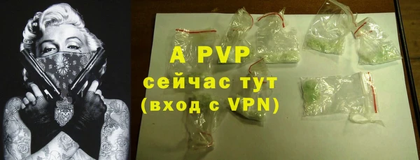 хмурый Арсеньев