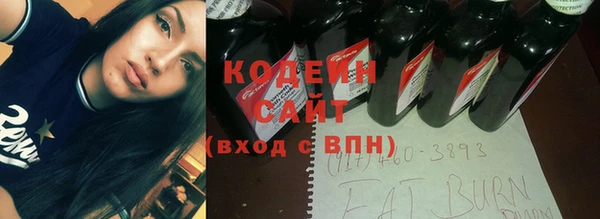 хмурый Арсеньев