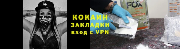 хмурый Арсеньев