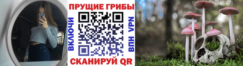 Галлюциногенные грибы Magic Shrooms  мориарти состав  Сортавала 